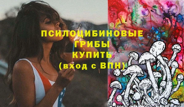 МДПВ Дмитровск