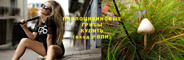 спайс Дмитриев