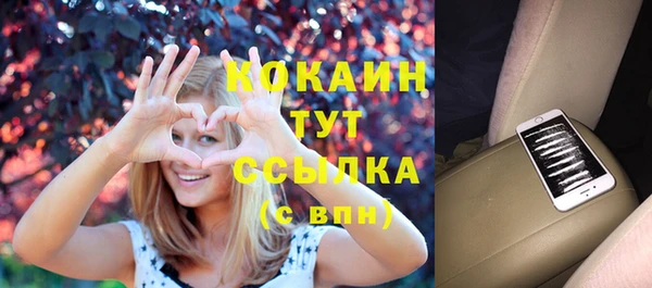 спайс Дмитриев