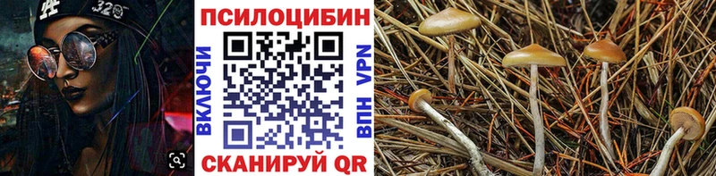 Галлюциногенные грибы мухоморы Калач-на-Дону