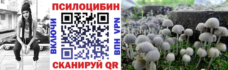 Псилоцибиновые грибы MAGIC MUSHROOMS  Купить  Калач-на-Дону 